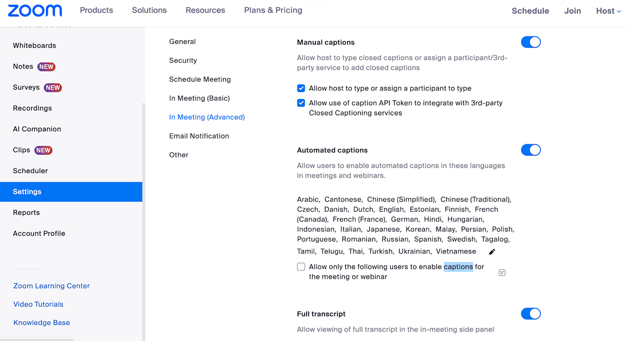 Zoom Transkription UI