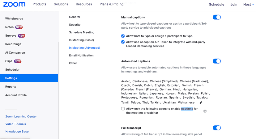 Zoom Transkription UI