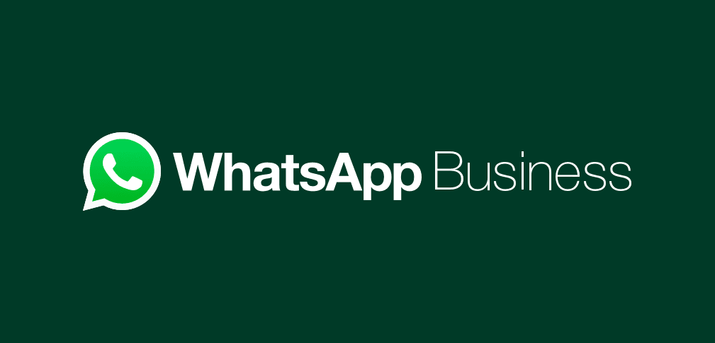 WhatsApp Business API 2024: Kosten der Whatsapp Business App