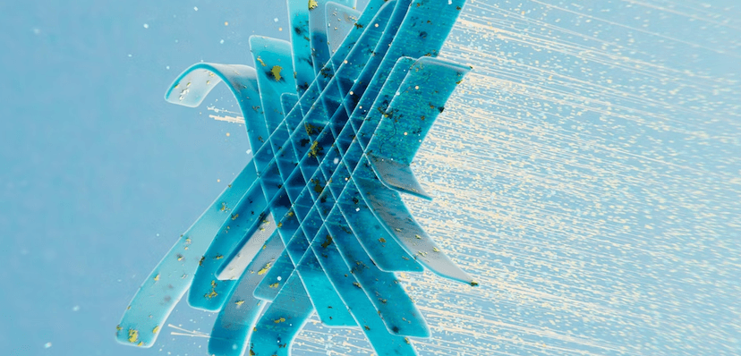 QR code business card: simple guide for creating